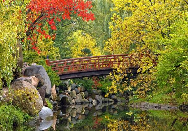 Top Instagrammable Fall Spots in the Rockford Region