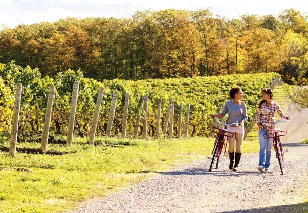 A Cyclist’s Wine Guide to the Niagara Region