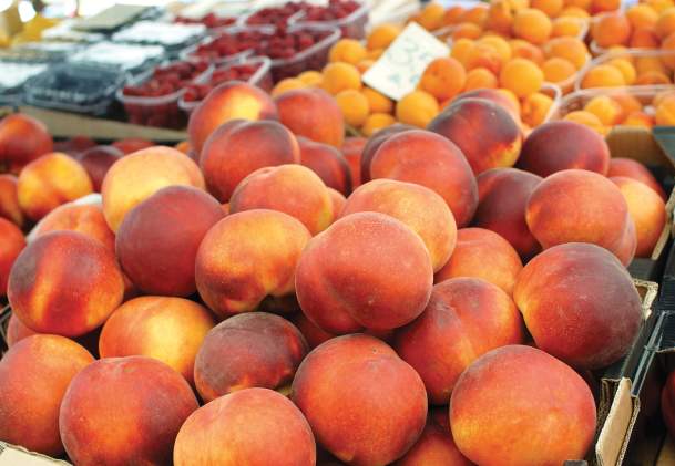 Niagara Fruit Stands