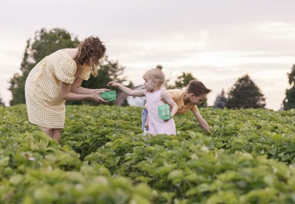 Niagara Benchlands Farm-To-Table 411