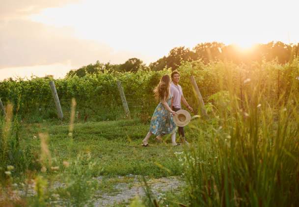 Rural Romance In The Niagara Benchlands