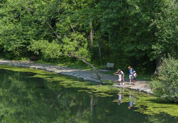Unplug on Niagara's South Coast