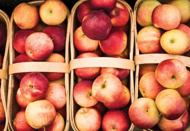 Niagara Farmers’ Markets