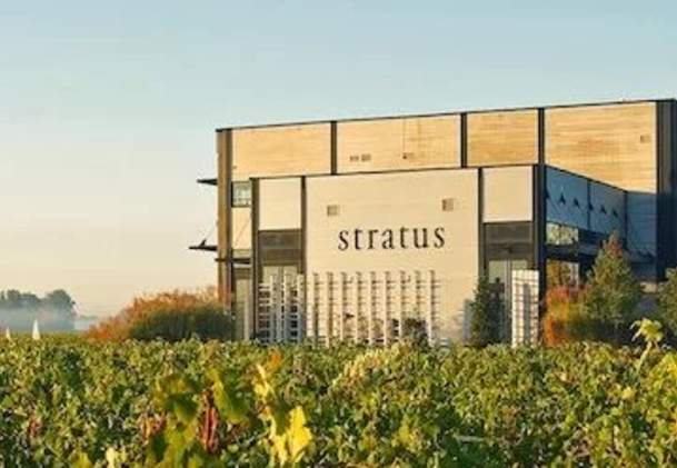 Stratus Vineyards