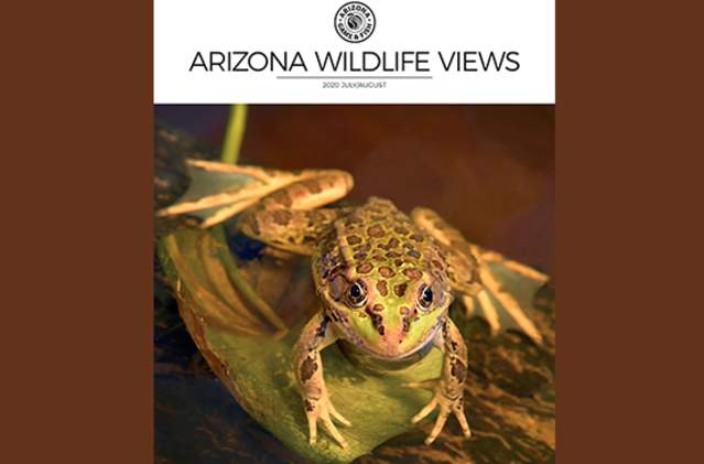 Arizona Wildlife Views - AZ Game & Fish