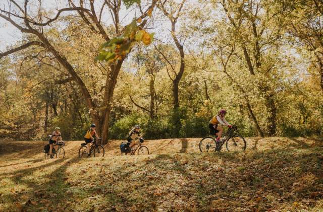 A group of four women bicycle on a trail in woods with fall leave colors of yellows and browns.