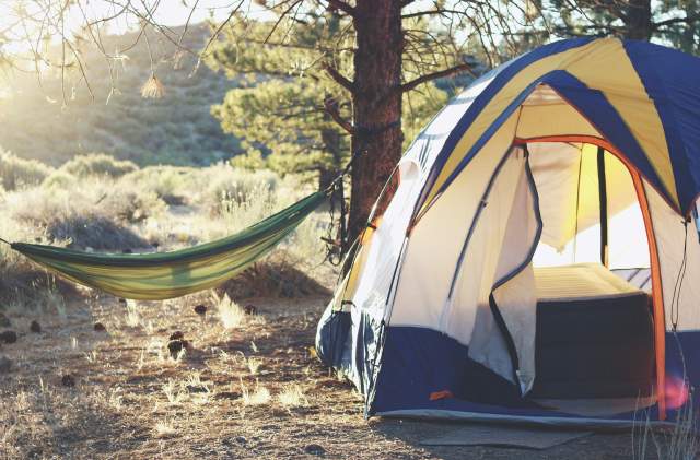 Camping - Tent and Hammock - Stock
