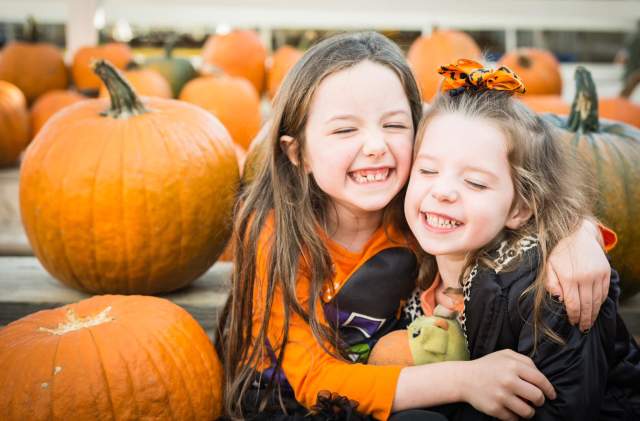 Pumpkin Patch Limited