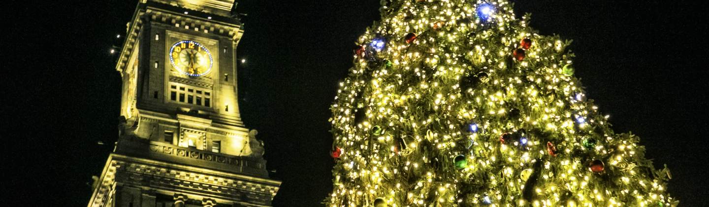 Christmas tree lights near me sale