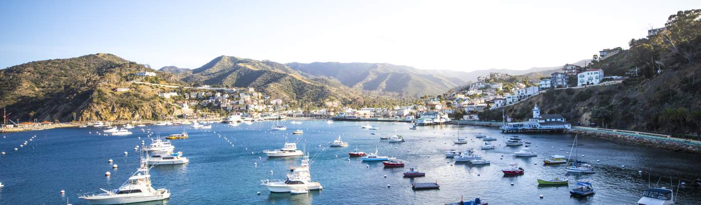 See What's New on Catalina Including Tours, Events and Special Offers