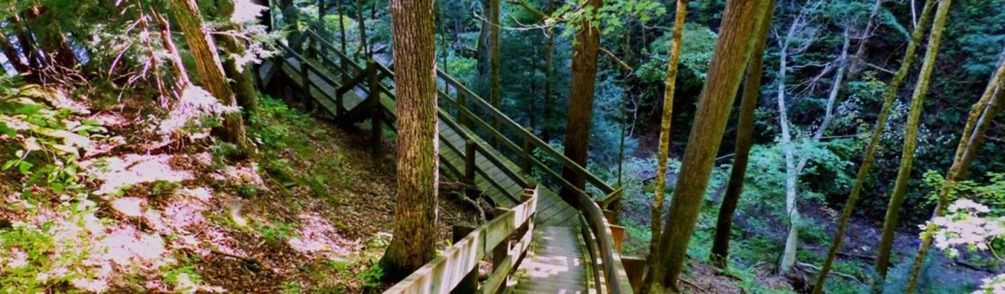 ShadesTrail_2_c42d6df3-d75f-