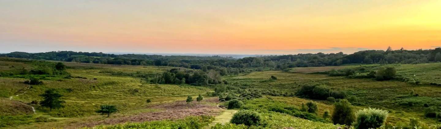 landscape photography new forest