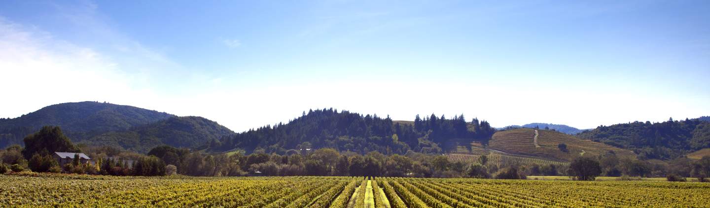 Sonoma, CA, One of the Coolest Small Towns in America • Sonoma