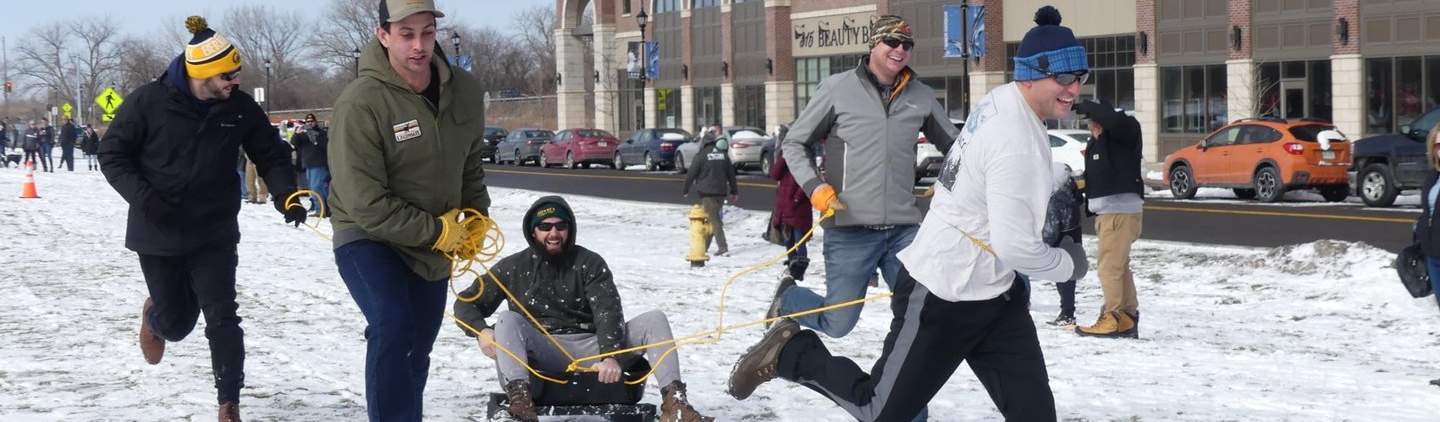 Stream The Dog Games: Winter Olympics 2022