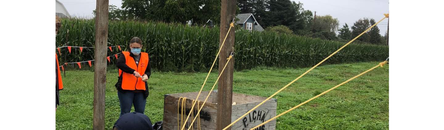 Pumpkin Patches