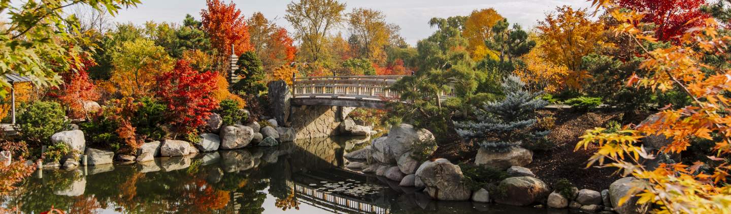 Autumn_at_Meijer_Gardens_16__9