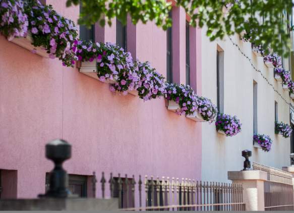 Bloomington's Most Photographable Places