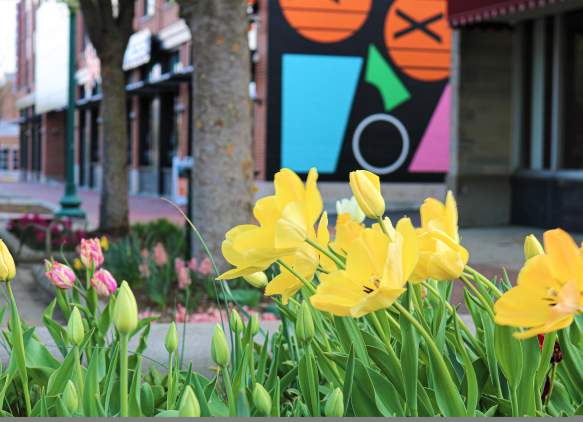 Top Places to Explore in Bloomington This Spring