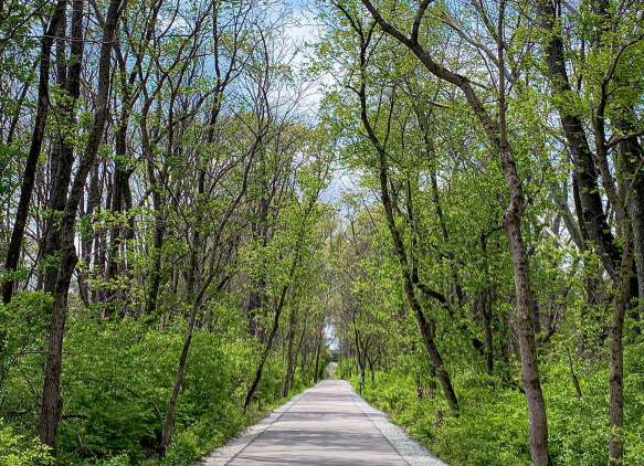 Bloomington's Best Outdoor Hidden Gems