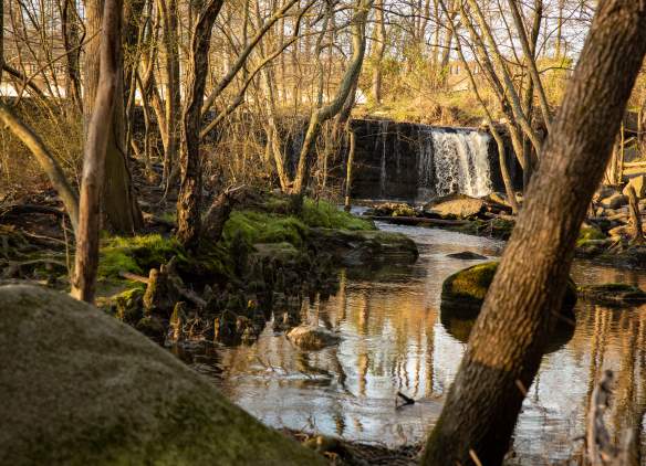 Waterfall & stream