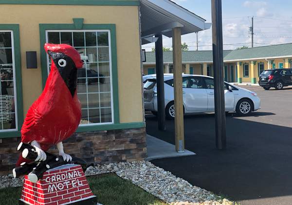 Cardinal Motel