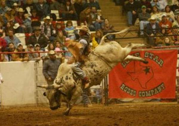 Lone Star Rodeo