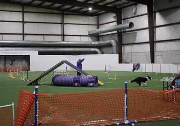 RuFF! Run For Fun Agility of KY