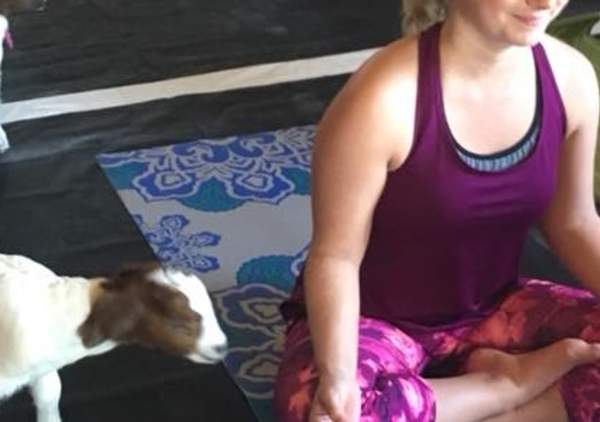 Be Happy Sunset Goat Yoga