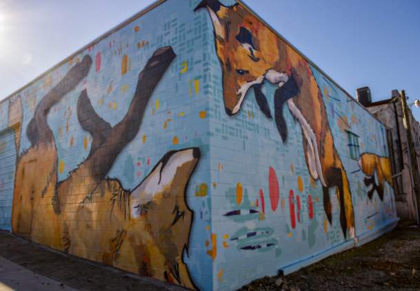 fox wall mural