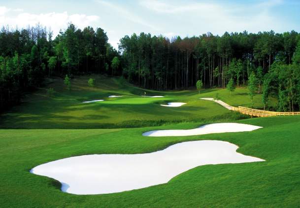 Gwinnett's Golf Courses