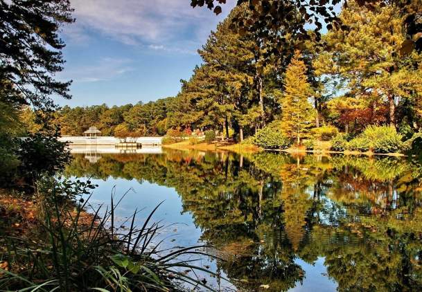 Best Gwinnett Spots for Engagement Photos