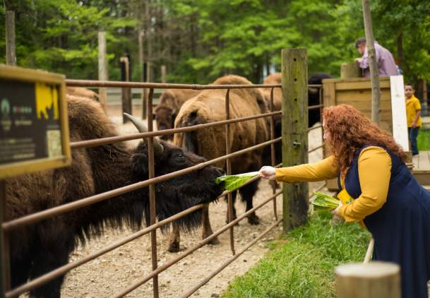 Yellow River Wildlife Sanctuary
