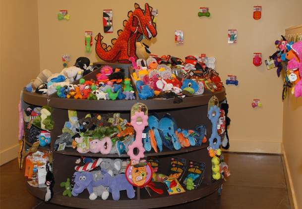 Earthwise Pet (Suwanee)