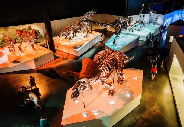 Houston Museum of Natural Science