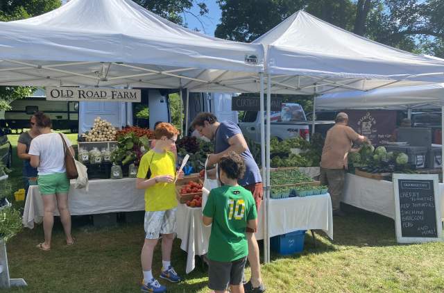 Farmers market stalls in Shelburne with fresh produce under white tents on a sunny day. A family is seen filling a bag with tomatoes.
