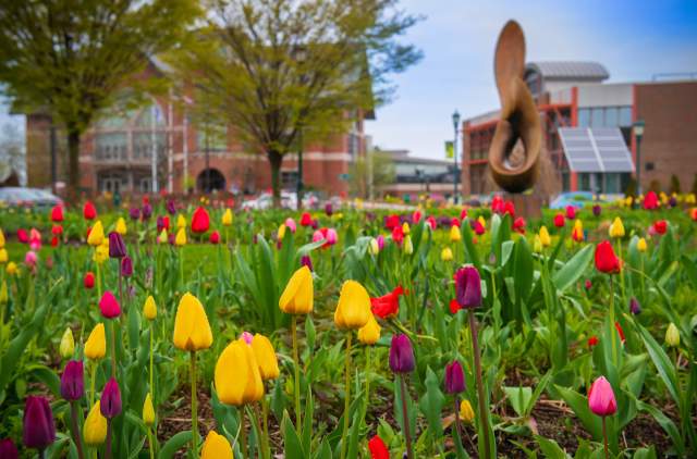 UVM Spring PHOTO