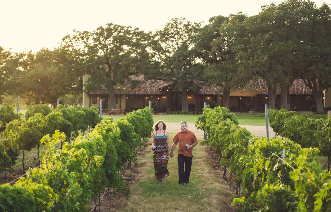 Couple walking in between rows of grapevines.