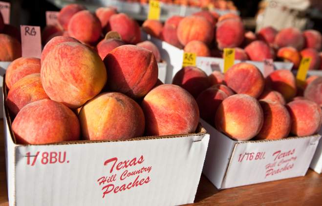 Fredericksburg peaches