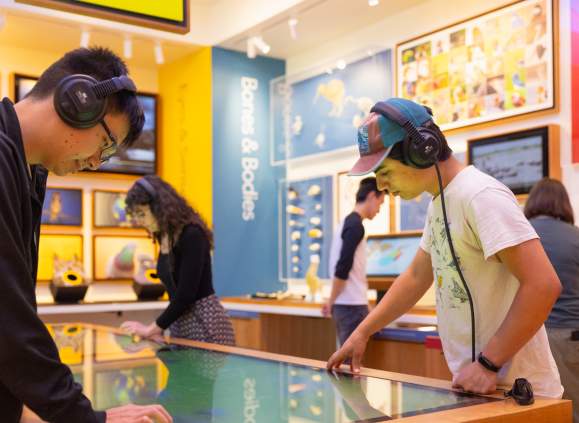 Cornell Lab of Ornithology