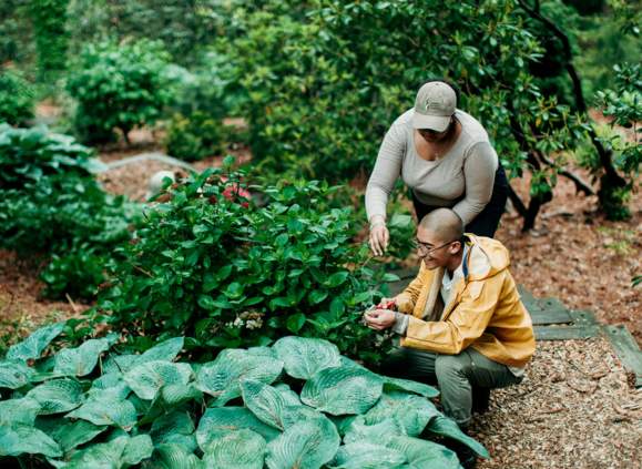 Botanic Gardens staff with plants