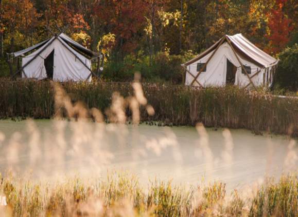 Firelight tents Zoom background