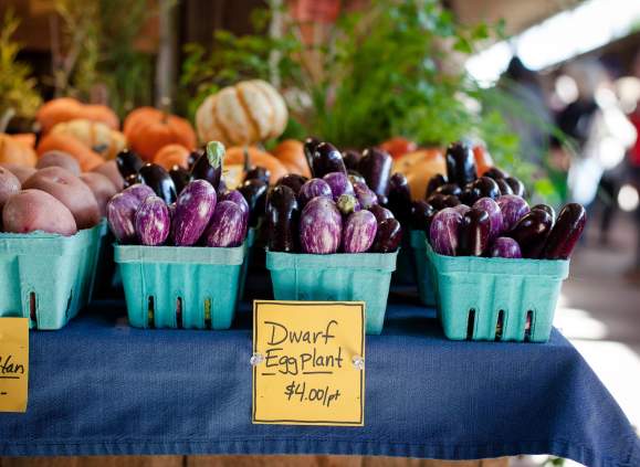 Dwarf eggplant farmers market