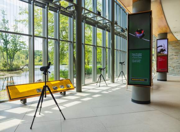 Cornell Lab of Ornithology and Sapsucker Woods