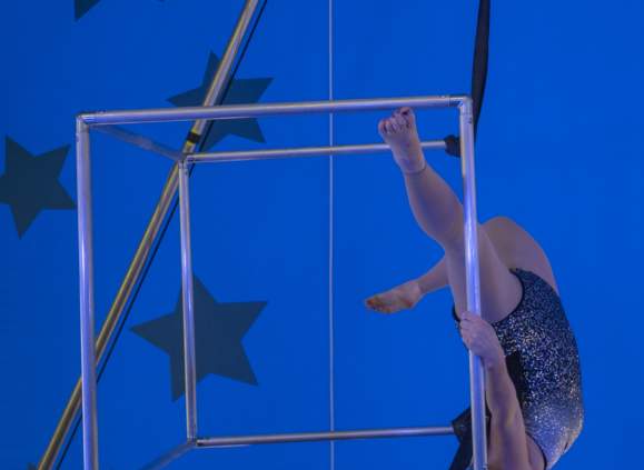 Circus in the Garden