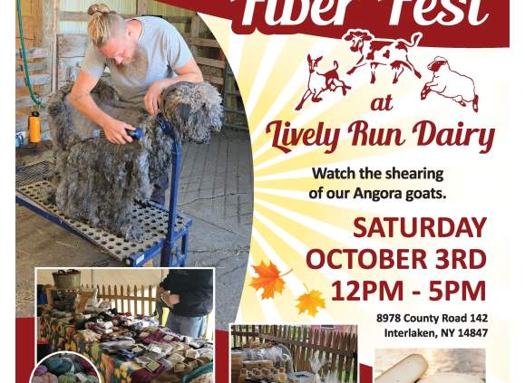 5th Annual Fall Shearing and Fiber Fest