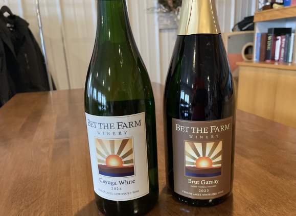 From Grapes to Glass:  Wine in the Glass