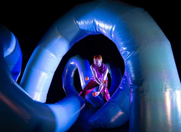 Rollercoaster - Hupstate Circus Festival