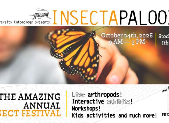 Insectapalooza 2026