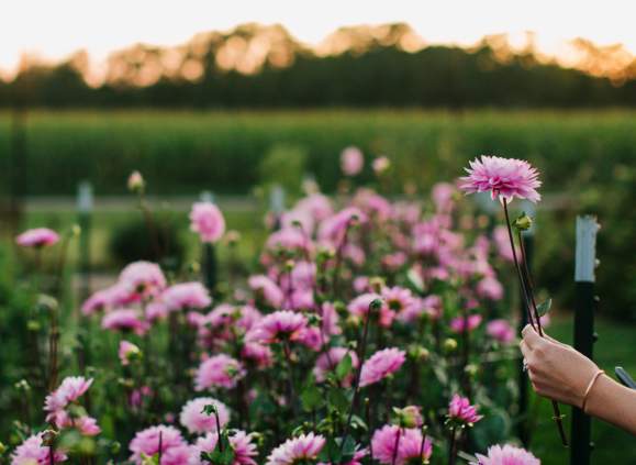 Summer Flower Workshop