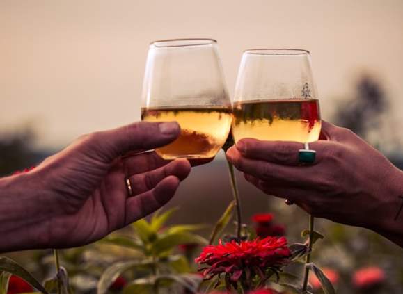 How to Taste Cider - A Guided Journey into the World of Cider